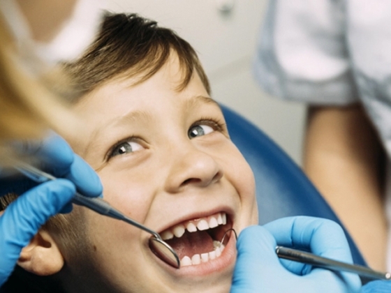 Suspendisse euismod mi in velit porta dignissim